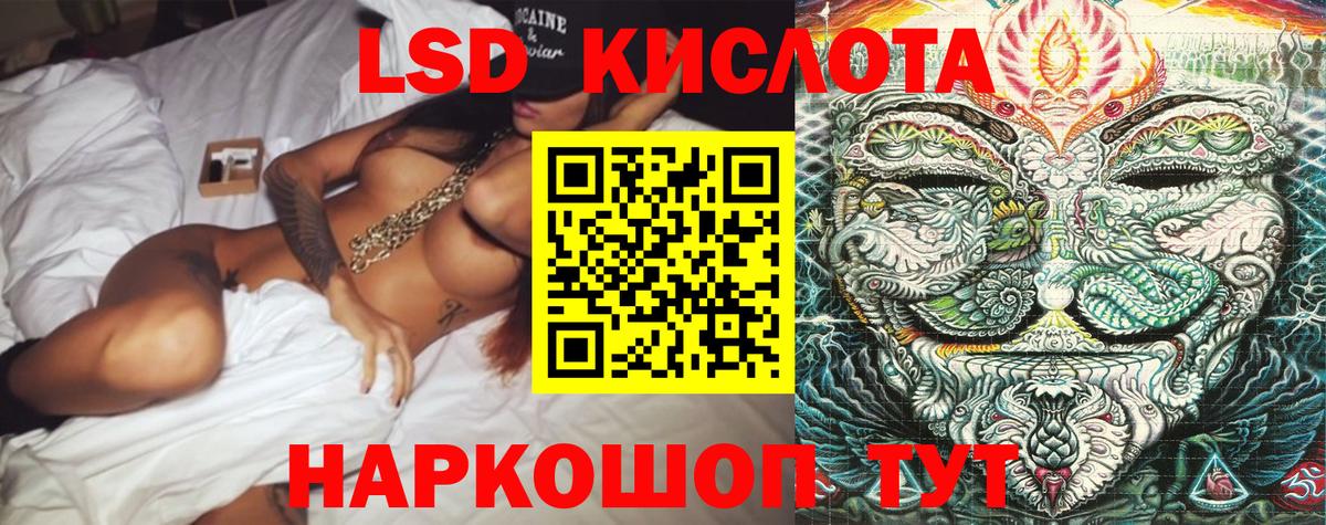 Фрязино  Наркотические марки  Вход с VPN  Наркотические марки 1500мкг  Наркотические марки 1500мкг 