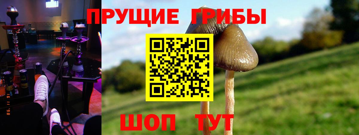 Галлюциногенные грибы мухоморы Фрязино